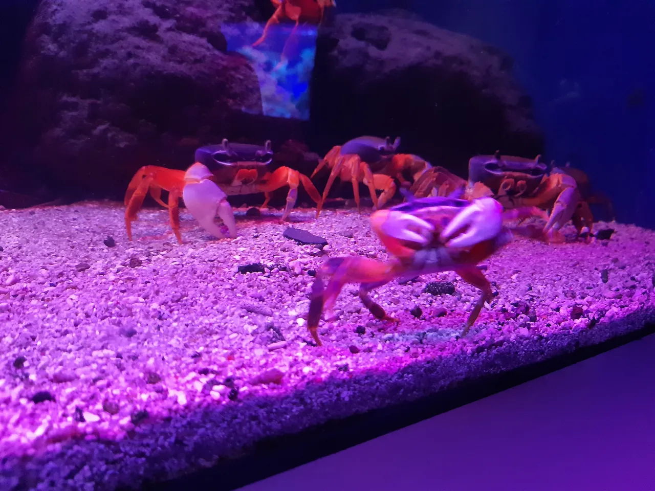 20250625_140318.jpg