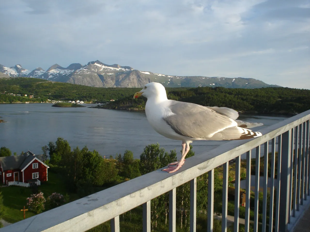 lofoten2007 138.jpg