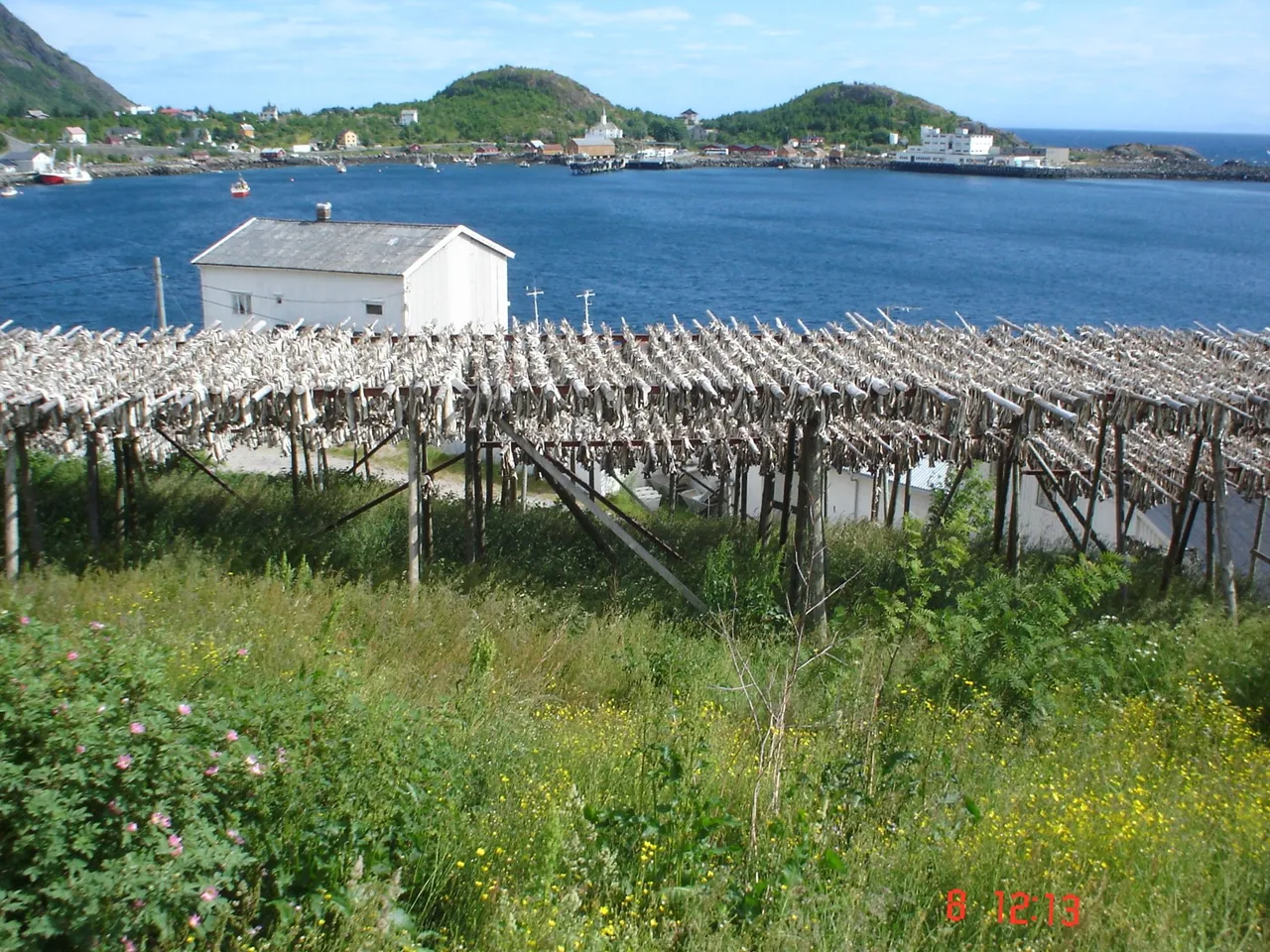 lofoten2007 018.jpg