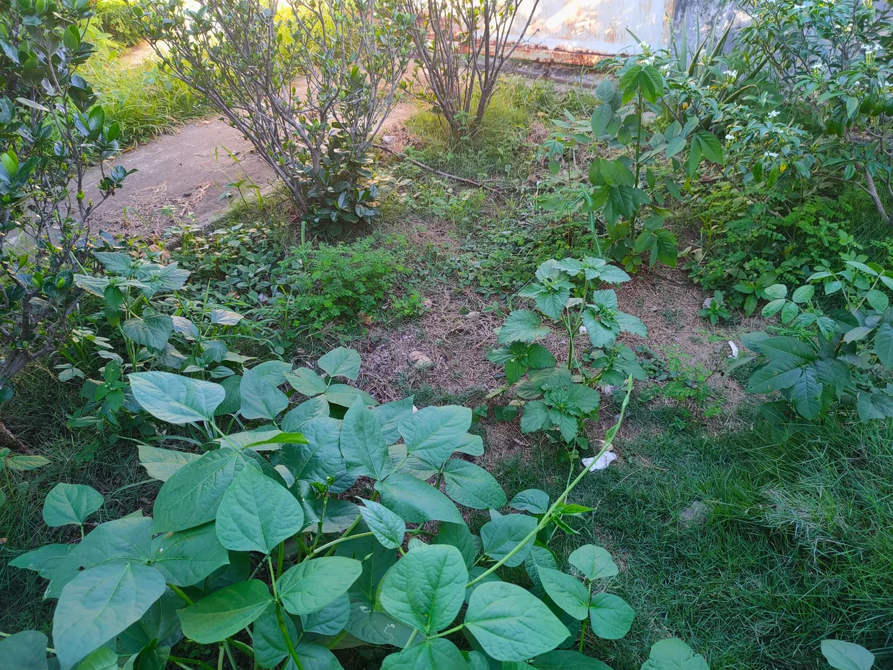 IMG20230611171201.jpg
