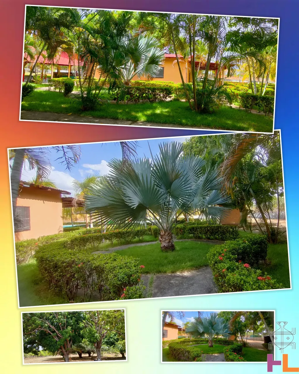 retouch_2024042216043617.jpg