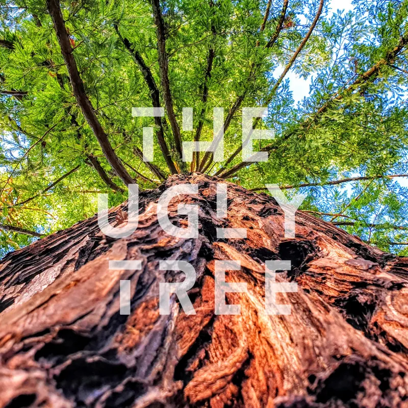 The ugly tree.png