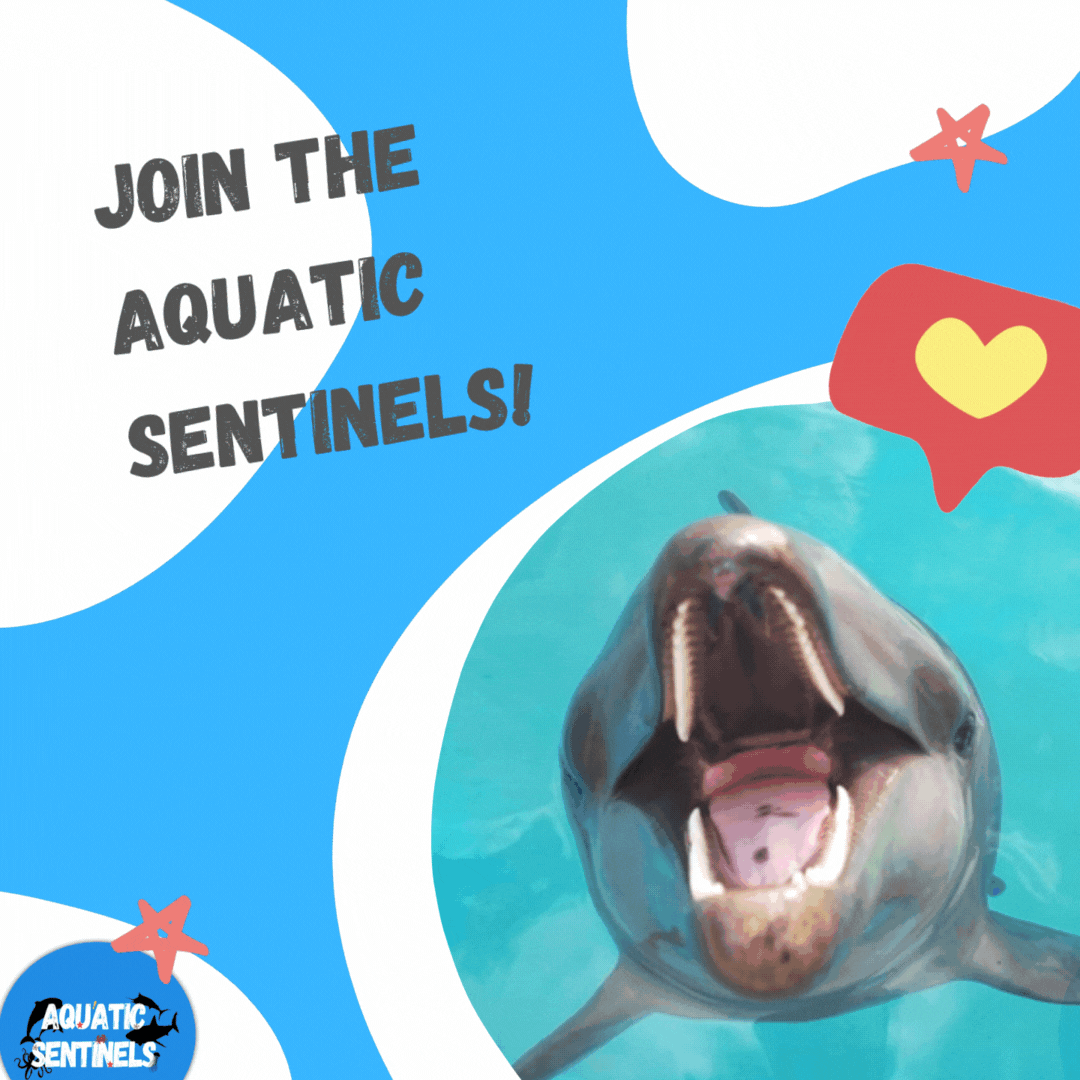 Join the Aquatic Sentinels!.gif