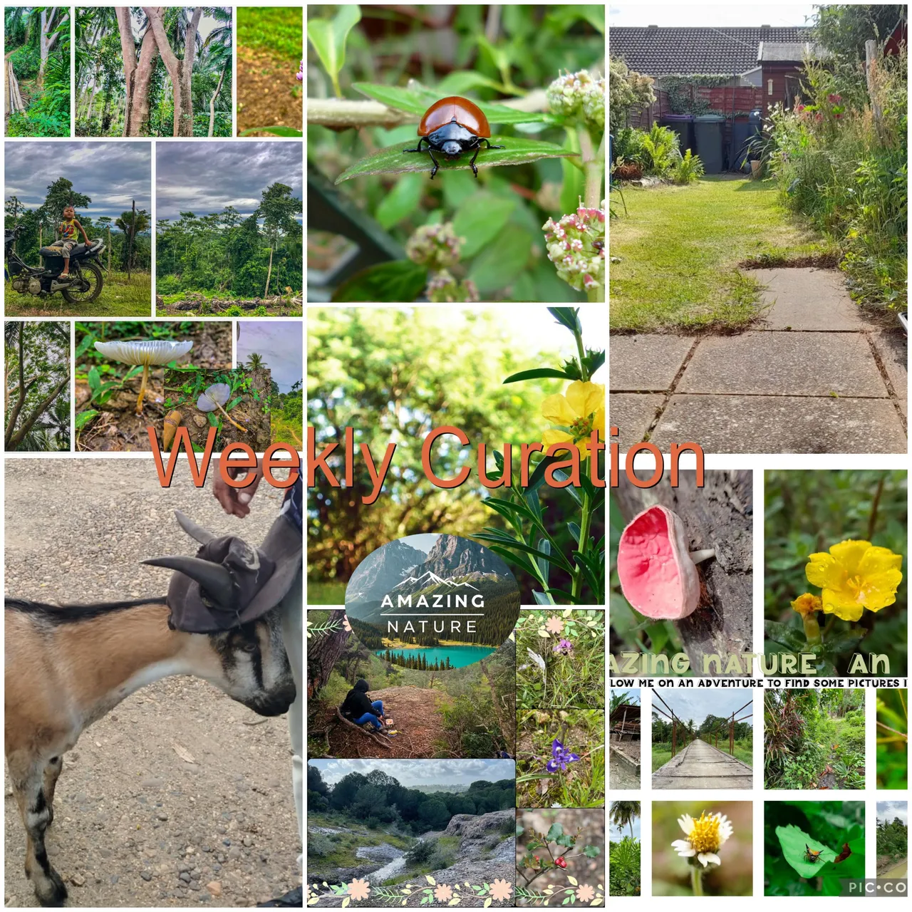 BeFunky-collage - 2025-06-06T093259.747.jpg