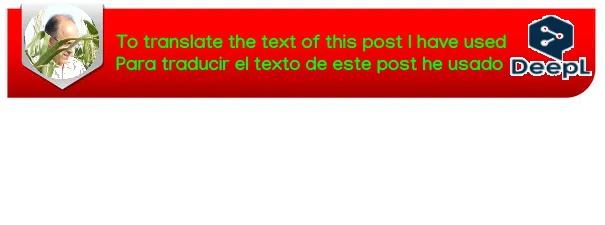 banners-translate-ENG-ESP.png