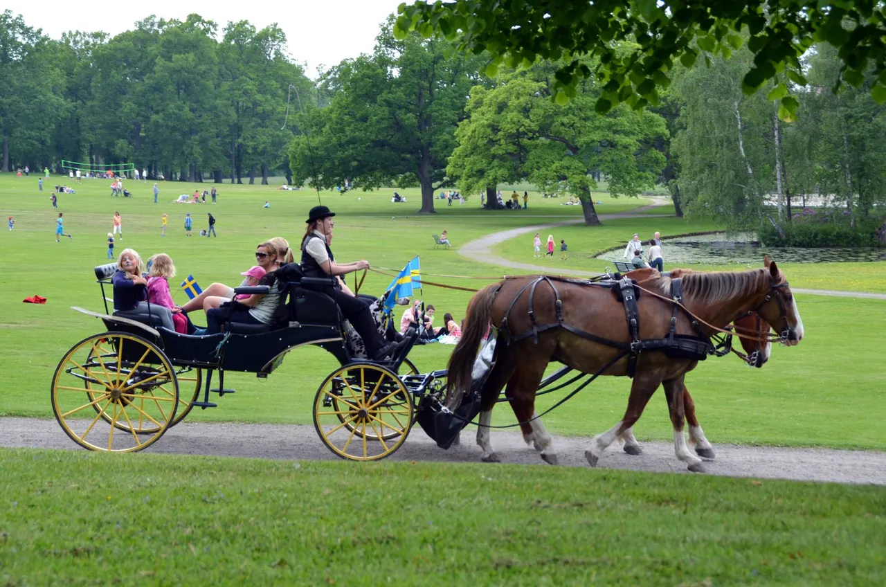 Fotograf: @shahzad-ansari | Plats Drottningholms Slott Stockholm