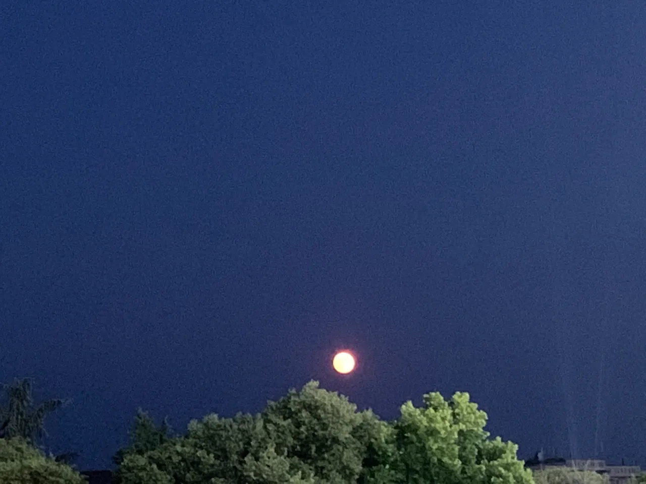 A04278F3-1F13-4C98-BC2B-0AB59BE13C41.jpeg