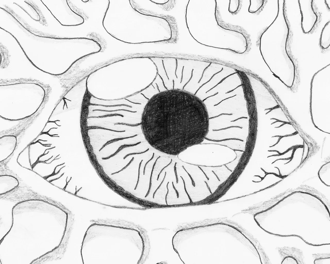 Ojo-1.jpg