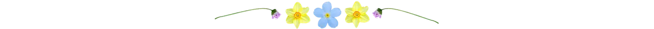 11.png