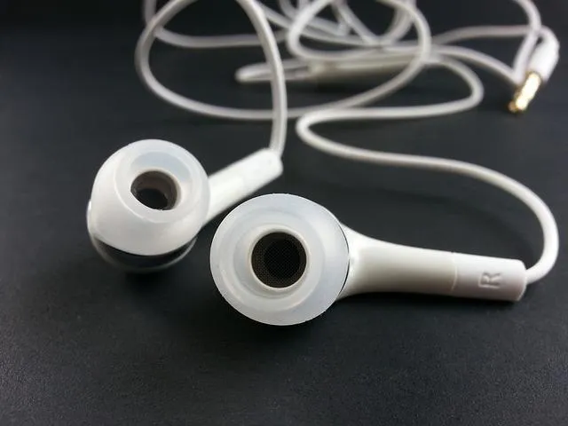 earphone-316753_640.jpg