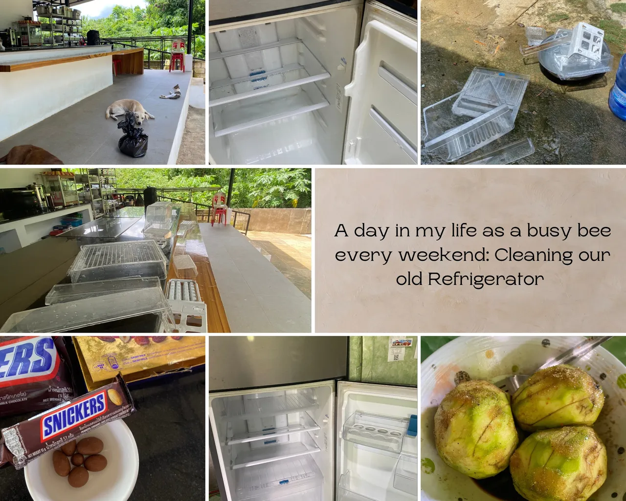 A day in my life as a busy bee every weekend Cleaning our old Refrigerator.png