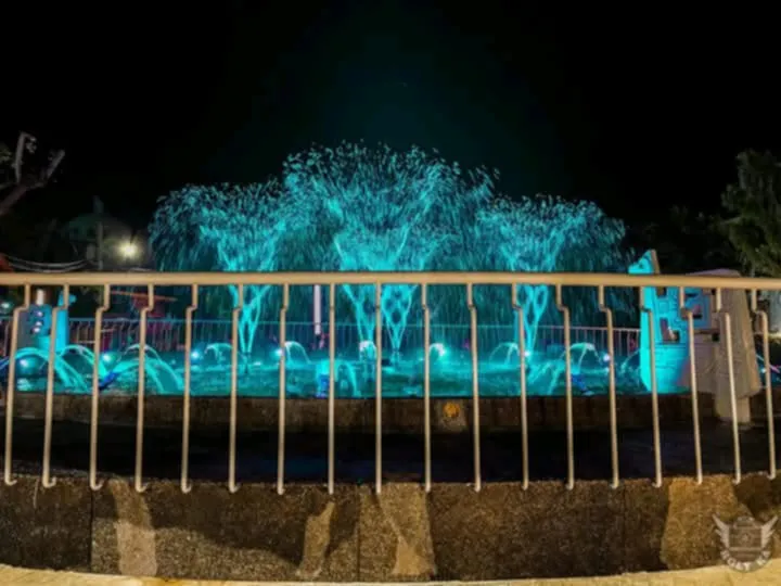56c00200-df8d-4e38-b464-1e4e36f71868.jpg