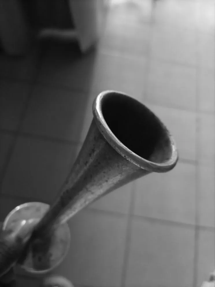 IMG_20210708_102751_137.jpg