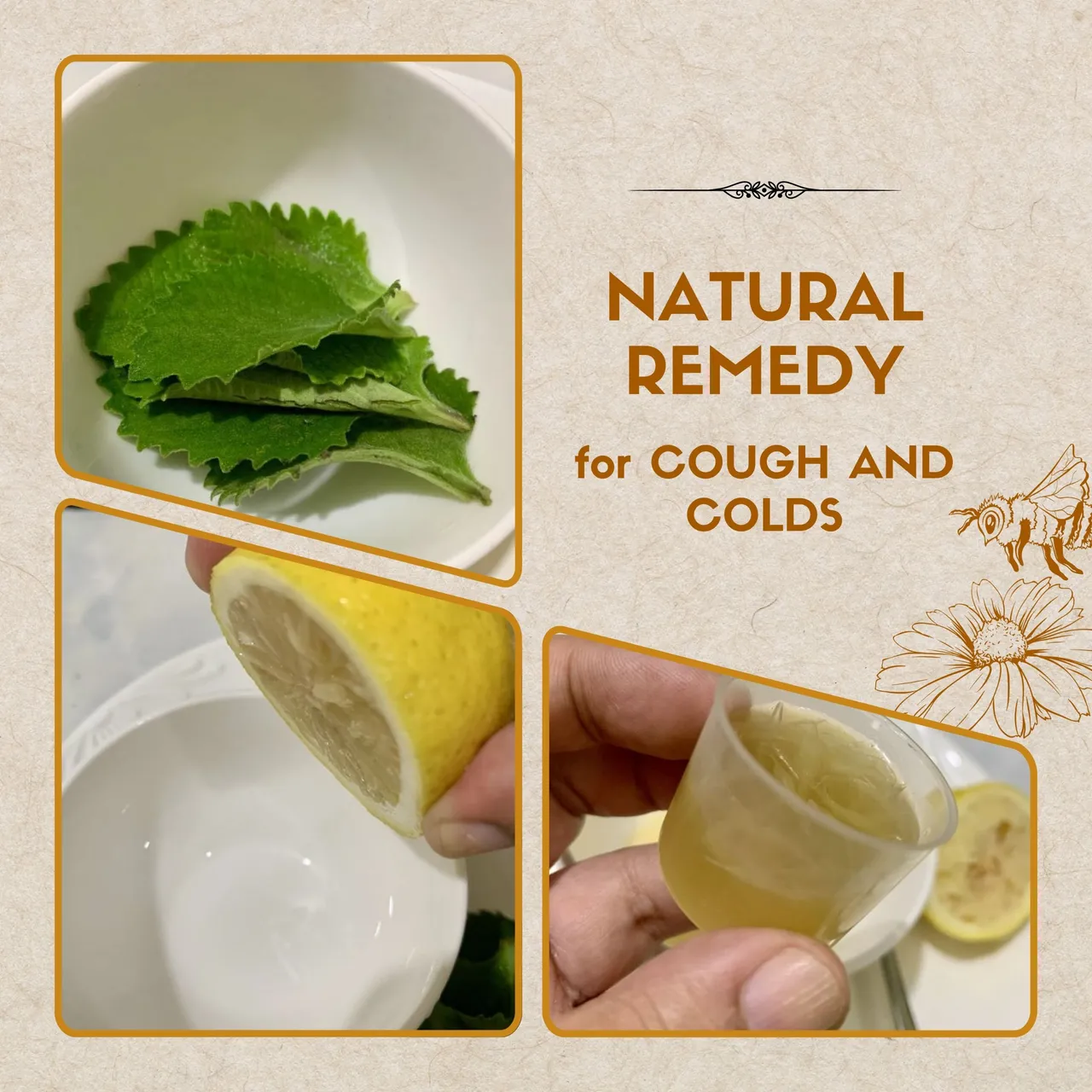Beige Warm Organic Herbal Tea Photo Collage Instagram Post.jpg