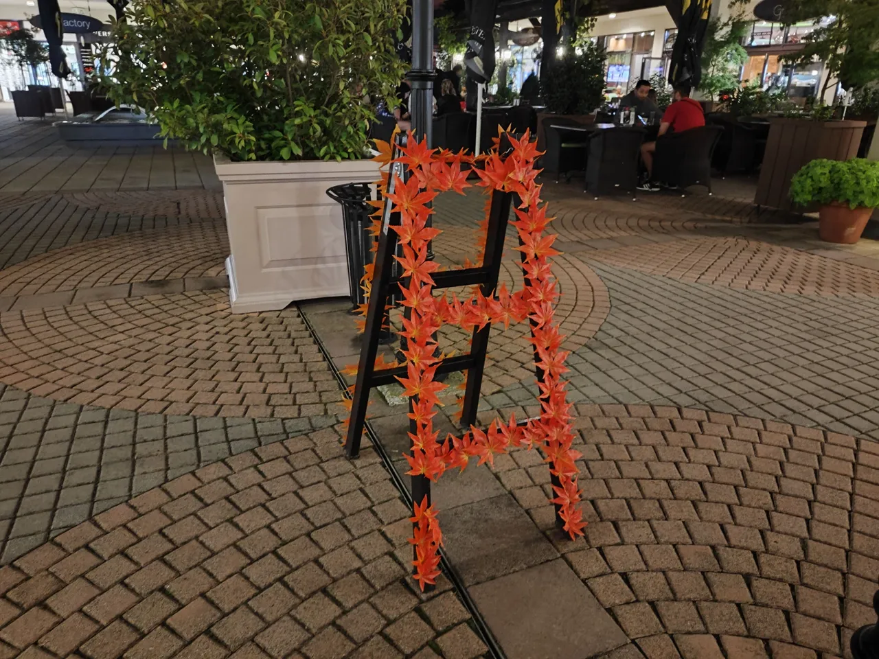 IMG_20230930_201843.jpg