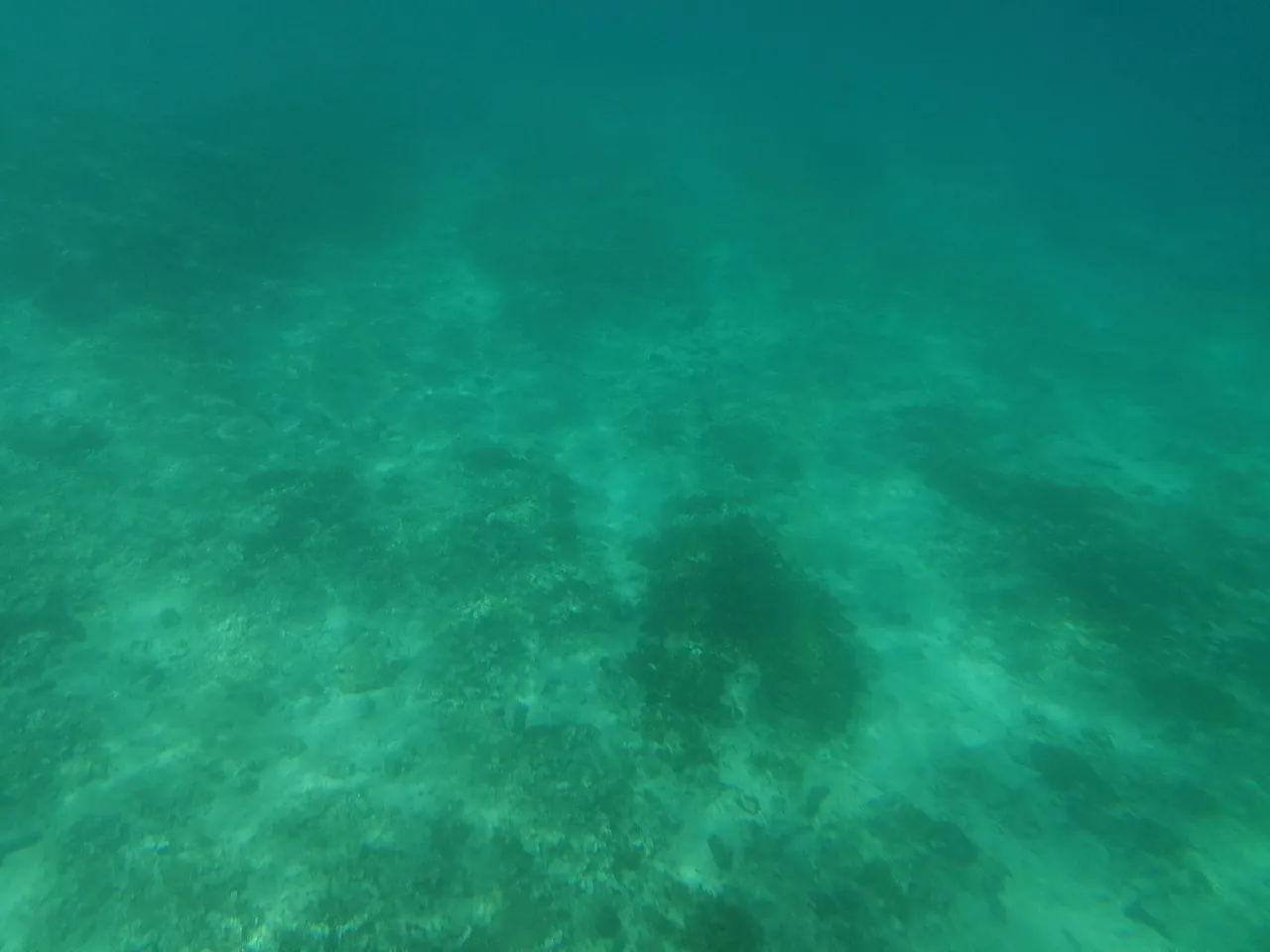 IMG_20220714_151035.jpg