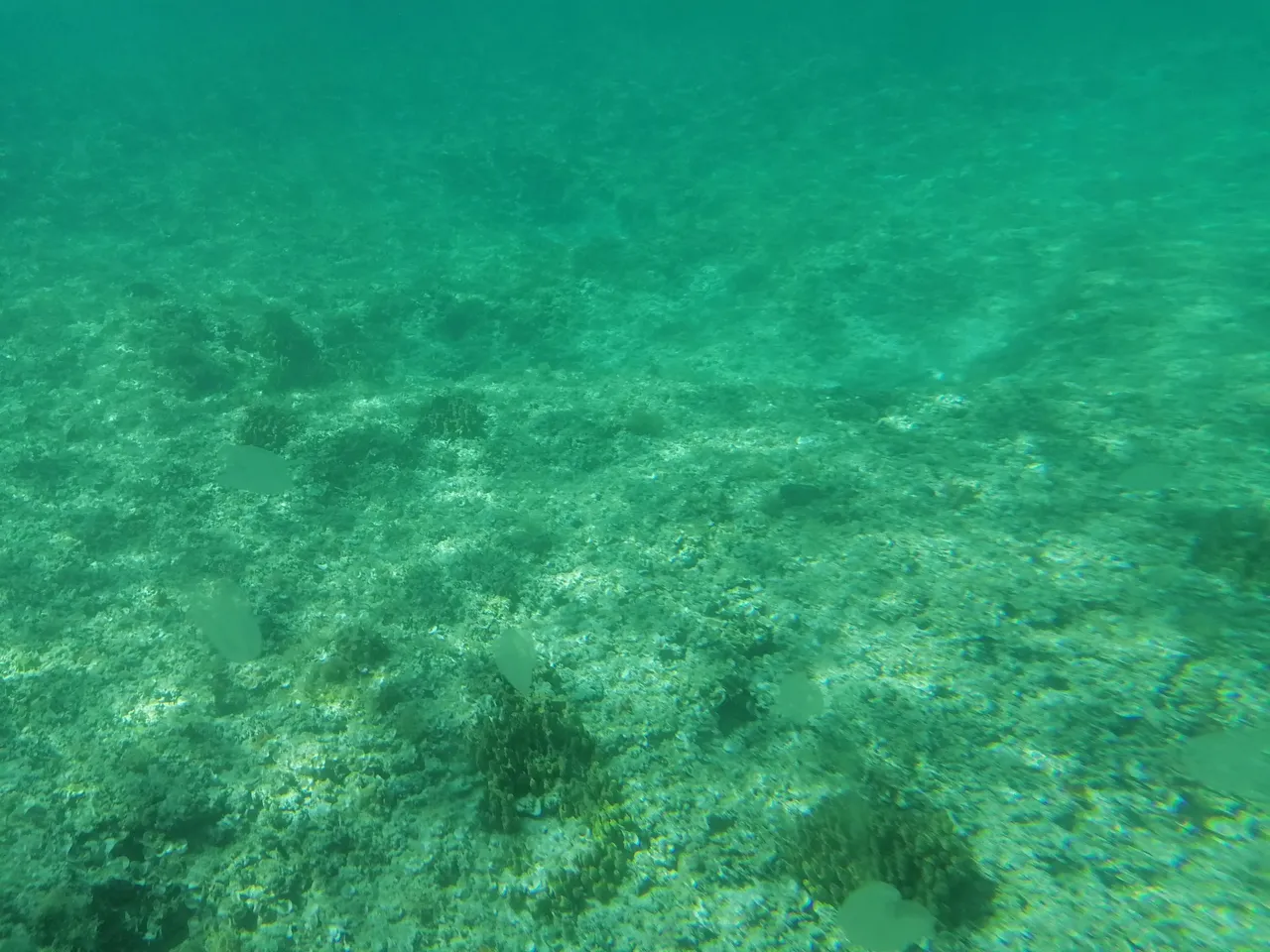 IMG_20220714_151111.jpg
