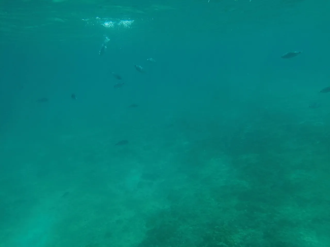 IMG_20220714_152110.jpg