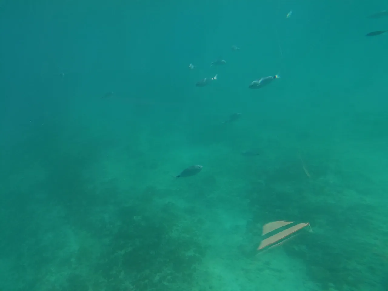 IMG_20220714_152141.jpg