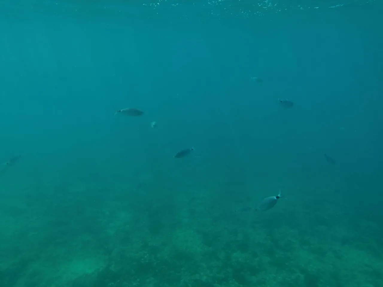 IMG_20220714_152644.jpg