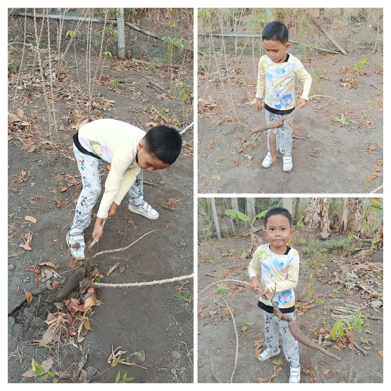 20240430_152757-COLLAGE.jpg