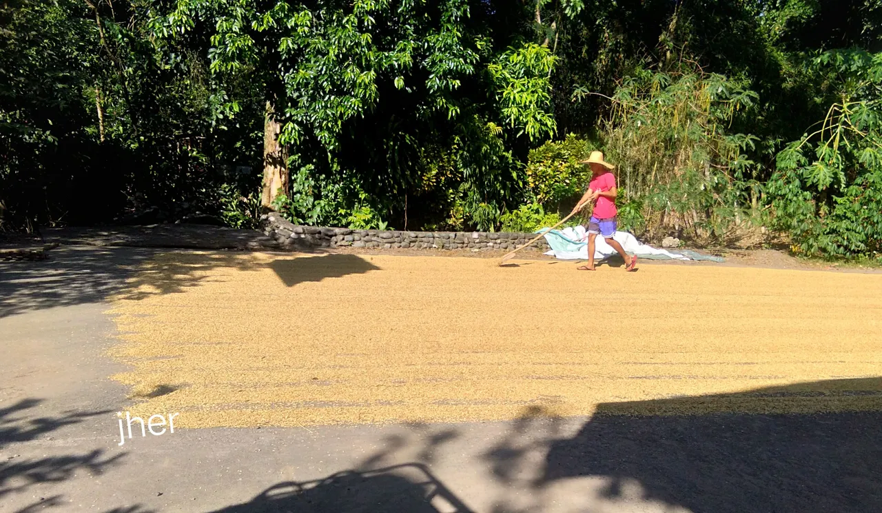 IMG_20221102_185854.JPG