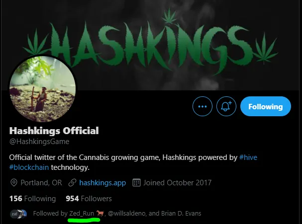 zed follows hashkings.PNG