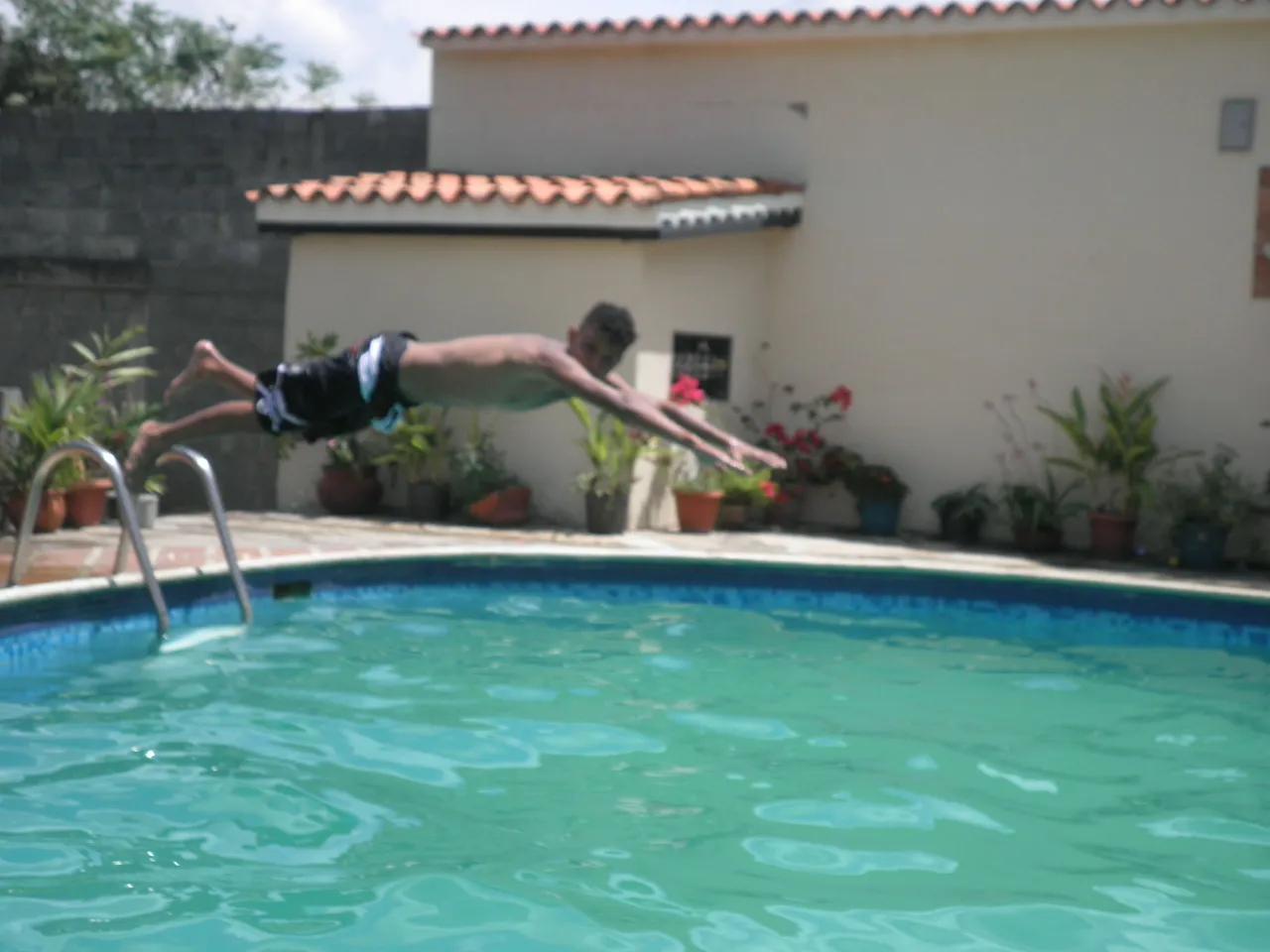PA080134.JPG