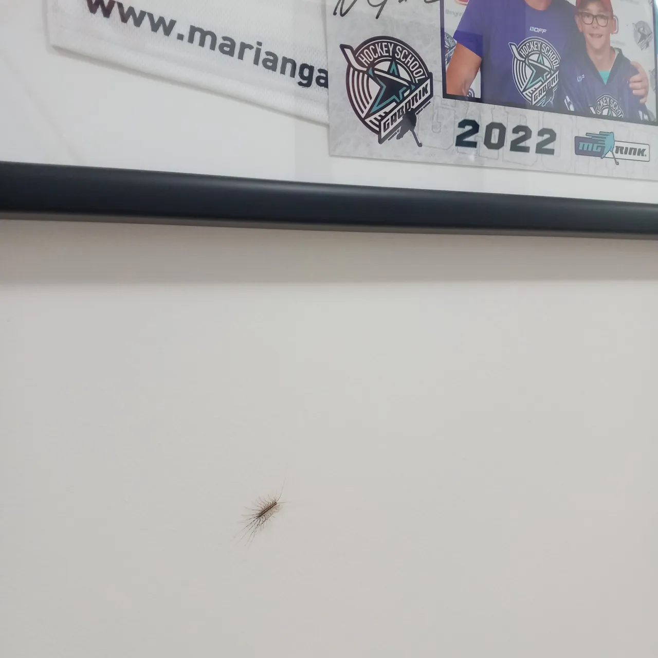 20250524_080544.jpg