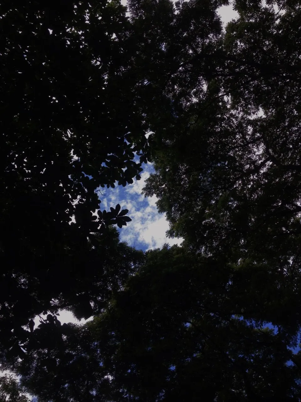 1409135138.jpg