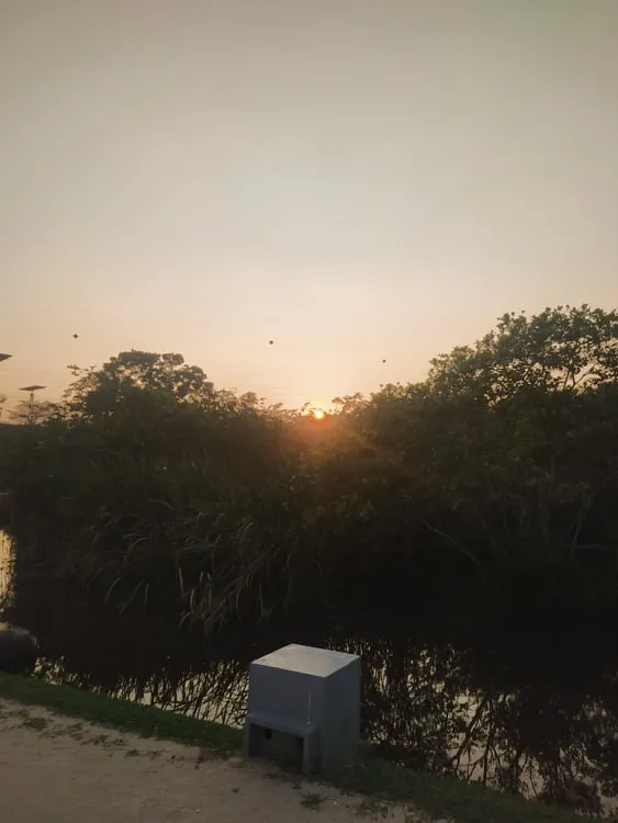 272693197_652900849462505_6688408544641221073_n.jpg