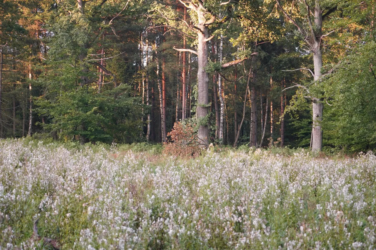 DSC05147.JPG