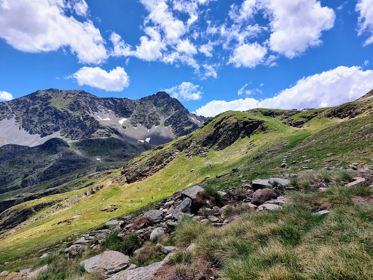 20220622_145730~2.jpg