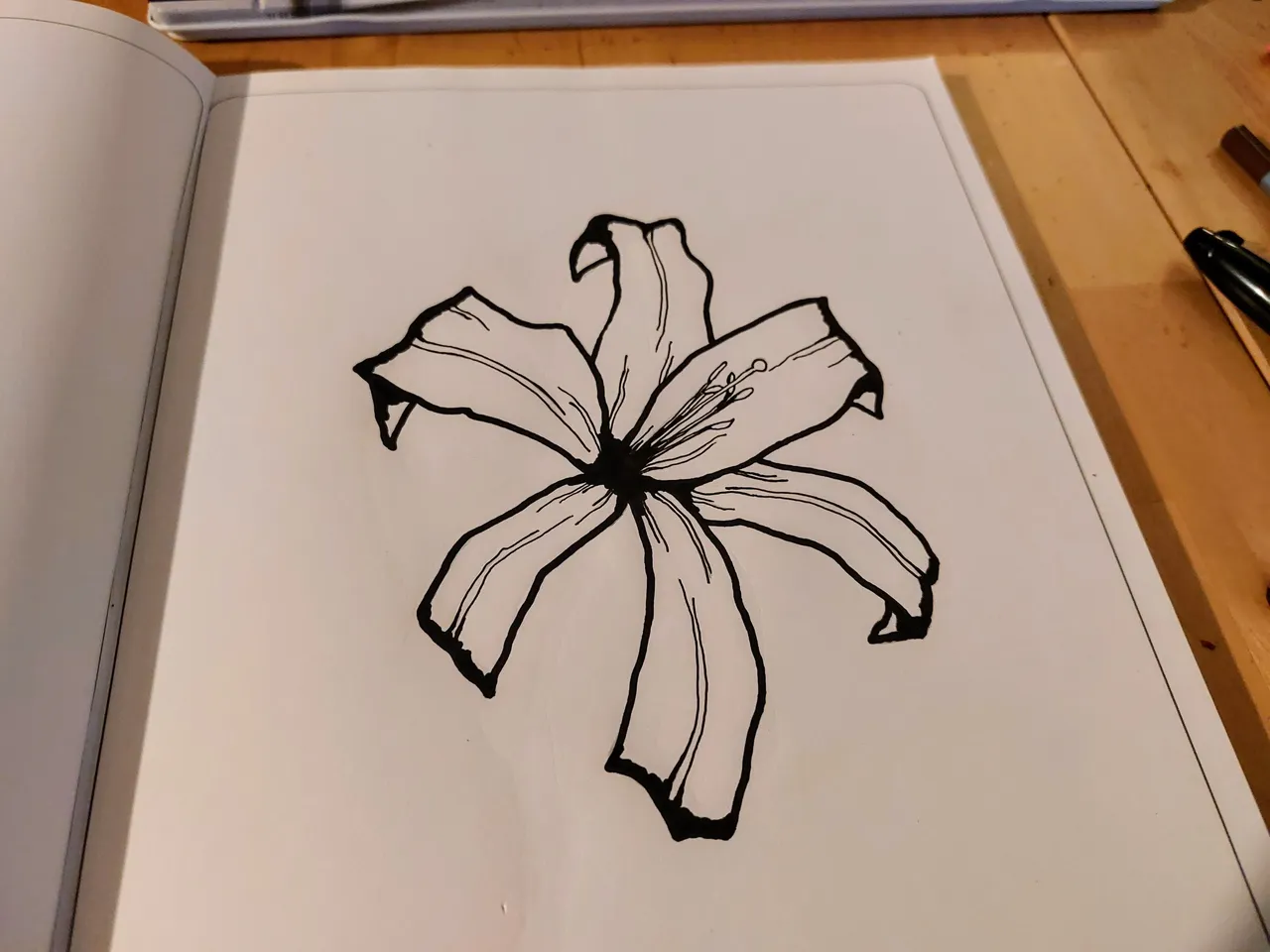 20220221_175308~2.jpg