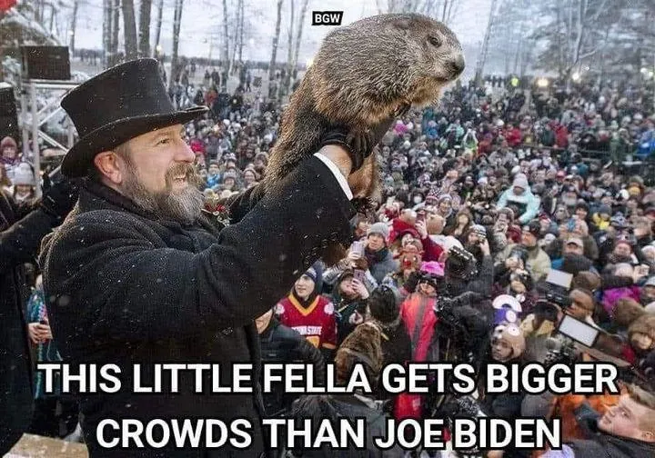 Groundhog populist-onExnIb.jpg