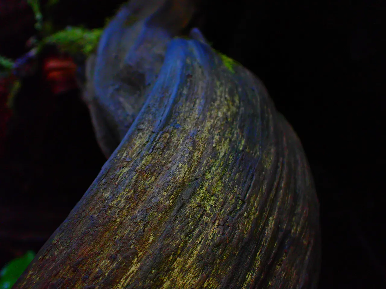 macro_nature0004.jpg