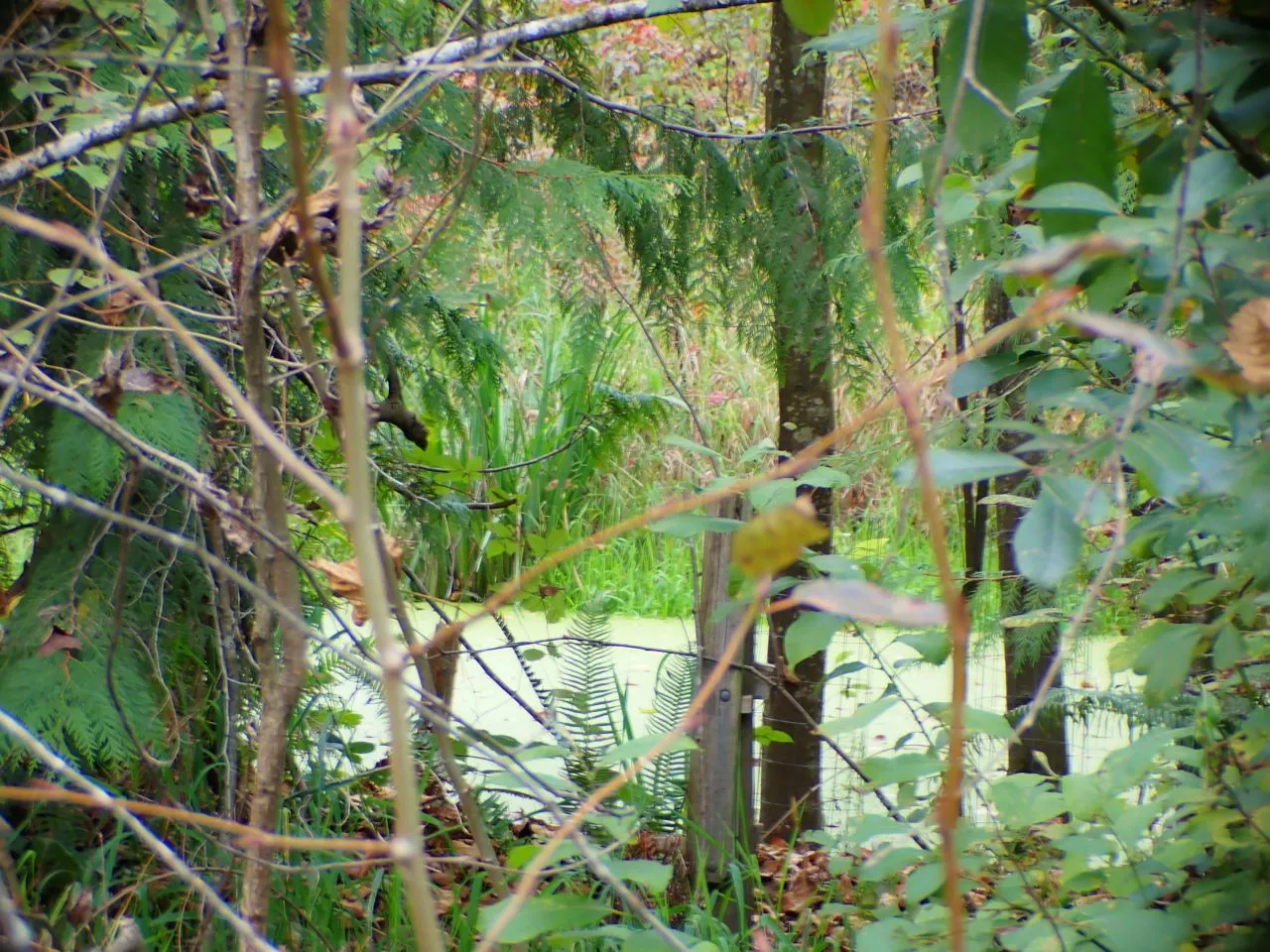 Hiking09.jpg