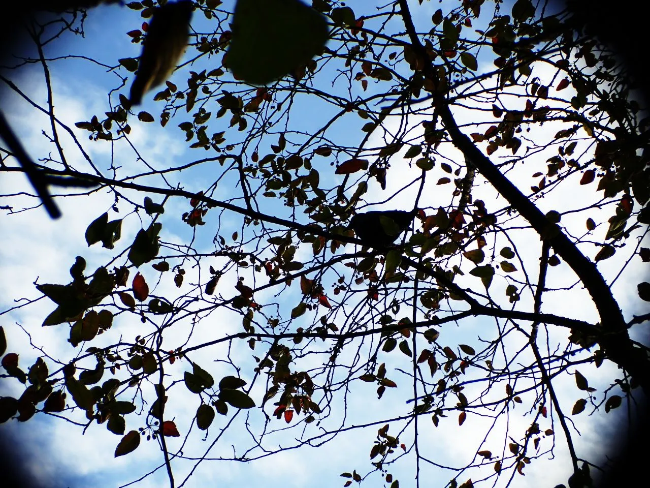 Hiking02.jpg