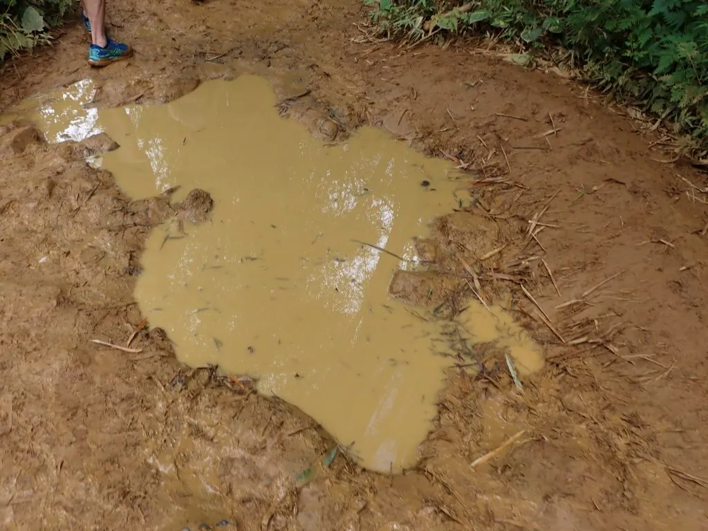 hike foot.jpg