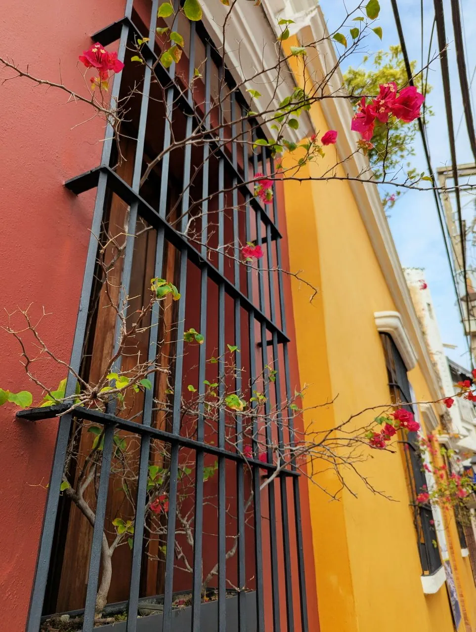 Beautiful Balcony.jpg