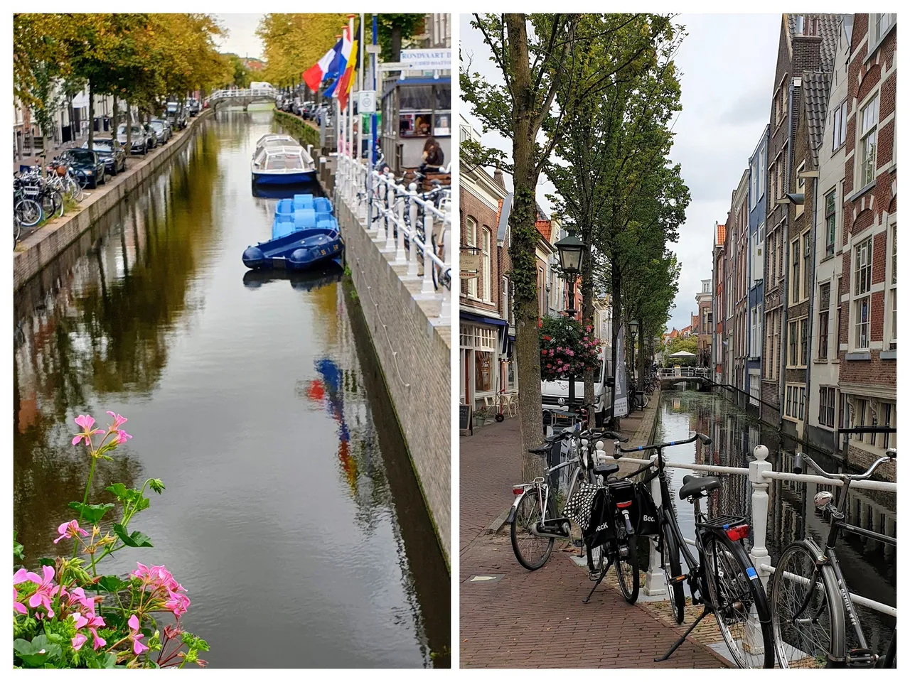 20231004_113544-COLLAGE.jpg