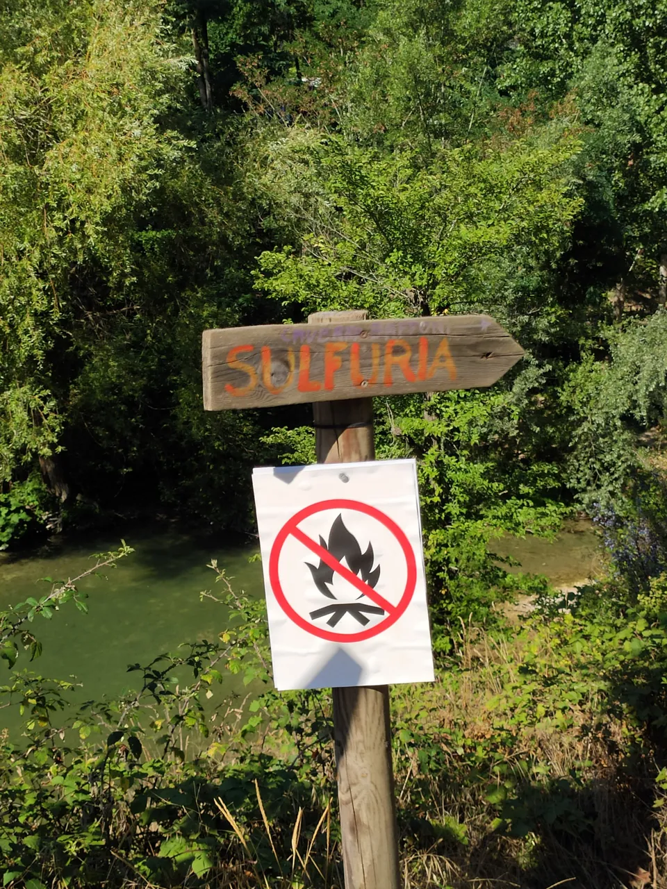 1659792686514.jpg