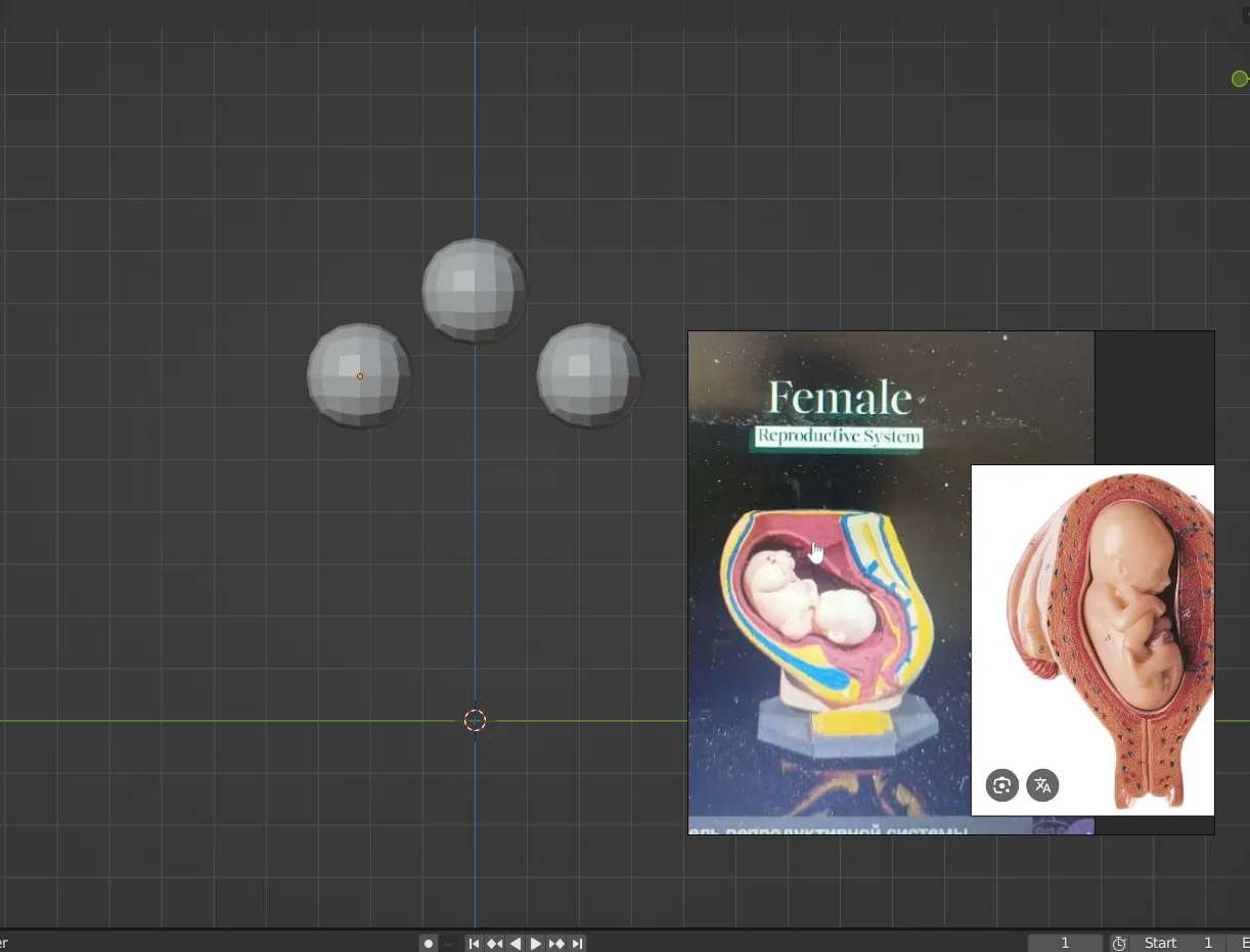 modelo en proceso.png