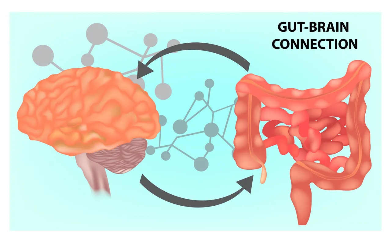 gut-brain-connection.jpeg