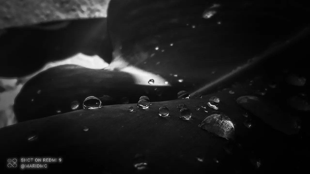 PSX_20211025_175443.jpg