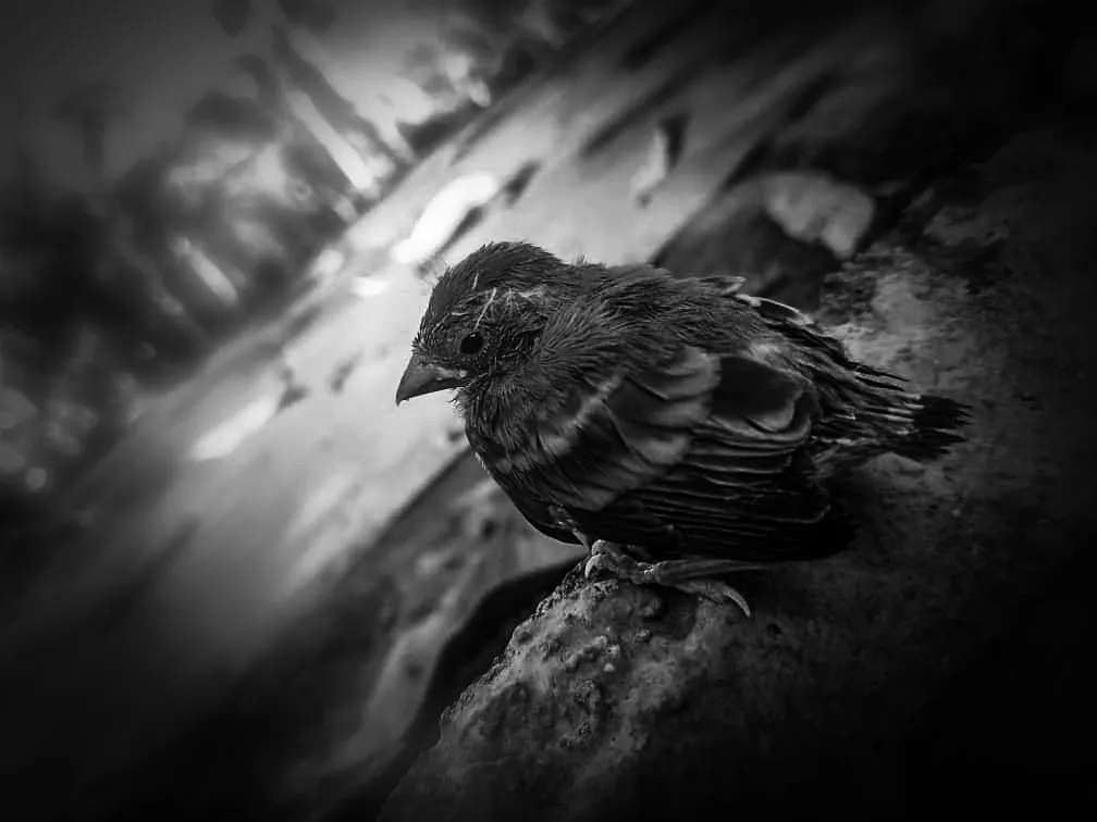 PSX_20211213_230752.jpg