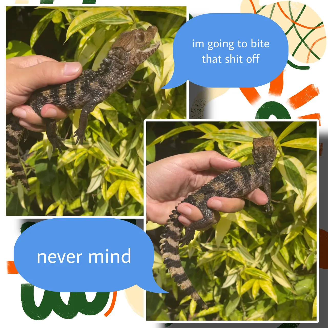 03D381B7-6B05-4206-AE9E-8212C8D69DE2.JPEG