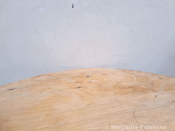 InShot_20240225_164712904.gif