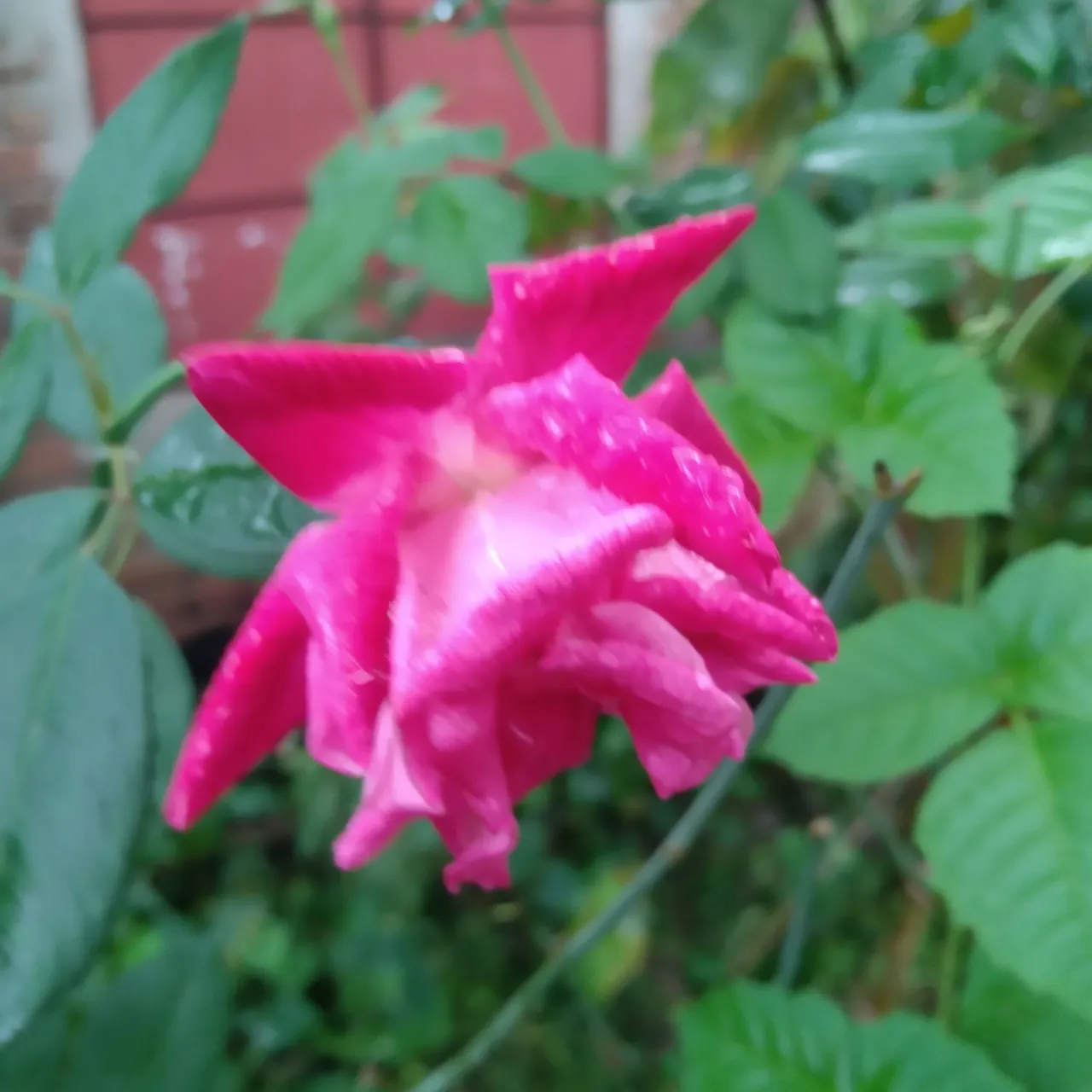 IMG_20211114_093652.jpg