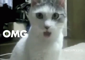 1000739323.gif